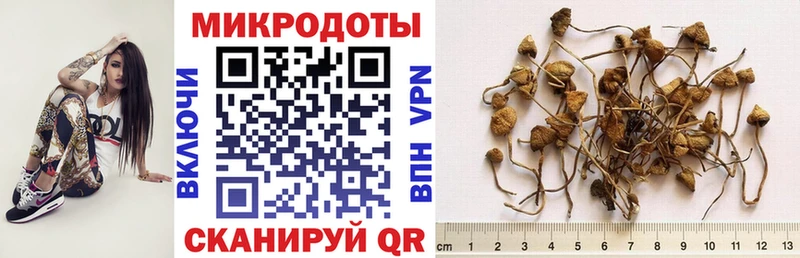 Галлюциногенные грибы Psilocybine cubensis  блэк спрут онион  Артёмовск 